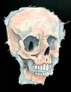Skull - 26,5x19 cm, Akvarel og tusch på japanpapir, 2019