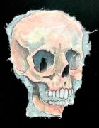 Skull - 26,5x19 cm, Akvarel og tusch på japanpapir, 2019 Skull - 26,5x19 cm, Akvarel og tusch på japanpapir, 2019