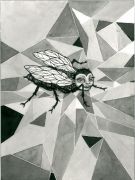 Fly - _ 2013, 23 x 31 cm. Indian Ink and felt-tip pen on paper.